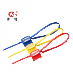 Plastic Seal Security