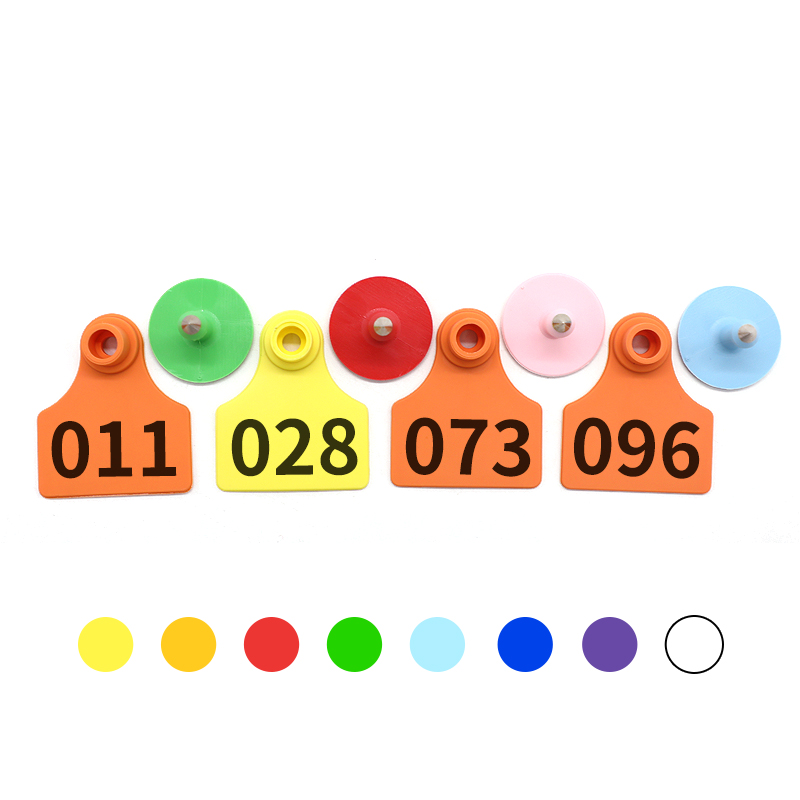 Ear Tag On Animal - Image 3