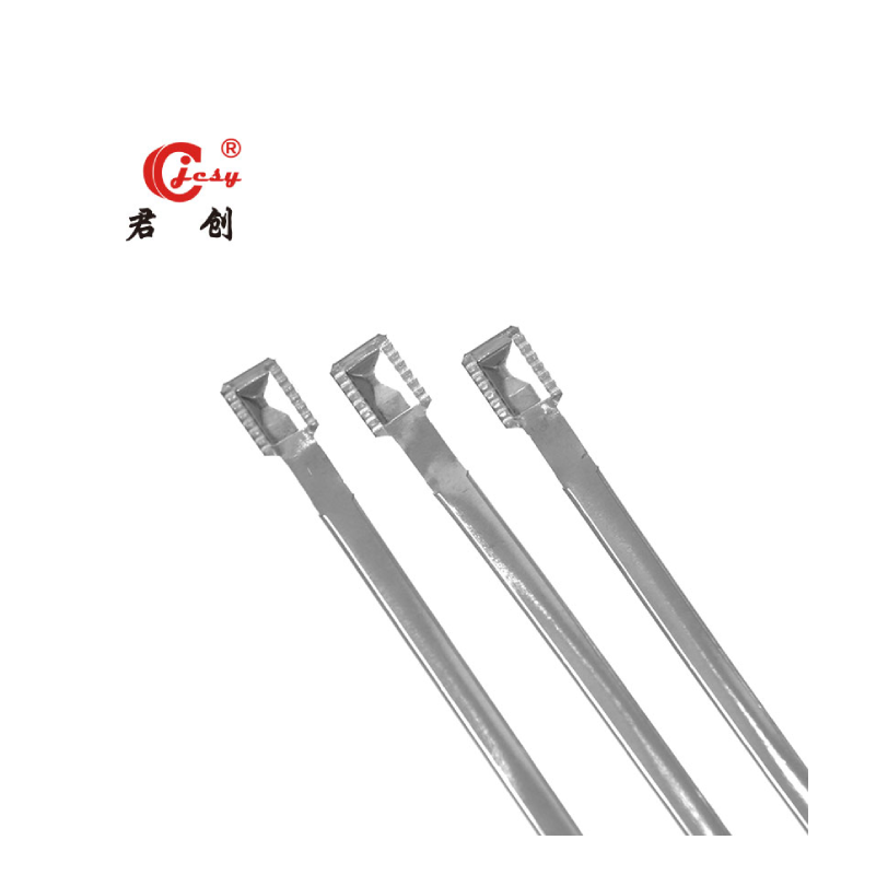 Metal Strap Seal Customized