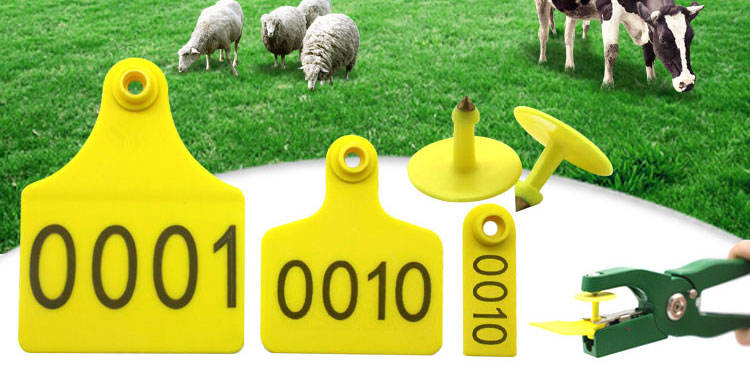 electroniceartag visualeartag One-pieceanimaleatag Cattle ear tags AnimalEarTag