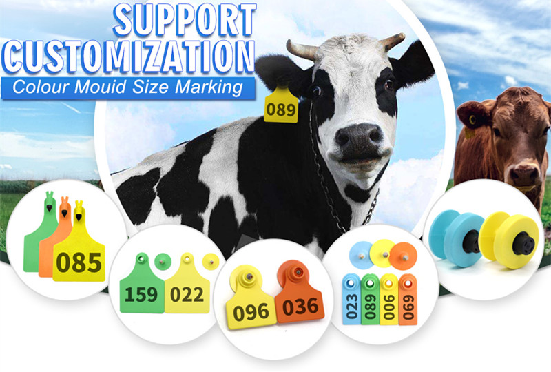 Livestock Cattle Sheep Pig Ear Tags